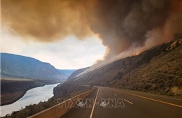 Canada: Khoảng 17.000 người ở tỉnh Alberta sơ tán do cháy rừng