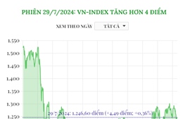 Phiên 29/7/2024: VN-Index tăng hơn 4 điểm