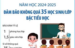 Năm học 2024 - 2025: Đảm bảo không quá 35 học sinh/lớp bậc tiểu học