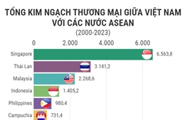 Tổng kim ngạch thương mại giữa Việt Nam với các nước ASEAN