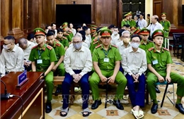 Viện Kiểm sát nhận định Đặng Việt Hà &#39;thẳng thắn nhận tội&#39;