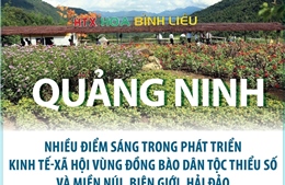 Quảng Ninh: Nhiều điểm sáng trong phát triển KT-XH vùng đồng bào dân tộc thiểu số 