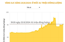 Vàng SJC sáng 25/8/2024 có giá 81 triệu đồng/lượng