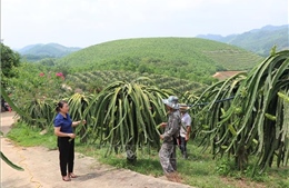 &#39;Nữ tướng&#39; ở xã vùng cao Yên Phú