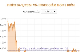 Phiên 26/8/2024: VN-Index giảm hơn 5 điểm