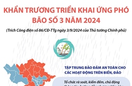 Khẩn trương triển khai ứng phó với bão số 3