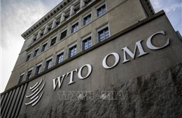 WTO: Tác động kép của AI đối với thương mại toàn cầu