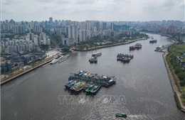 Hong Kong (Trung Quốc) cho học sinh nghỉ học, hoãn gần 40 chuyến bay đề phòng bão Yagi