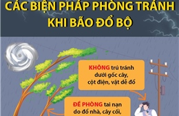 Các biện pháp phòng tránh khi bão đổ bộ