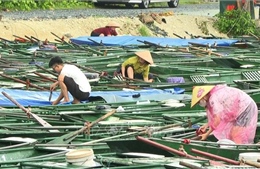 Bắc Ninh hoãn tổ chức chuỗi sự kiện quan trọng, tập trung chống bão