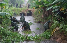 Thanh Hóa huy động bộ đội, dân quân gặt lúa, khơi thông dòng chảy giúp nhân dân