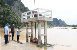 Theo dõi chặt chẽ diễn biến mưa lũ, bảo đảm an toàn hệ thống đê