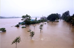 Lũ trên sông Lô tại Tuyên Quang khả năng đạt đỉnh 27,30 m, trên báo động 3