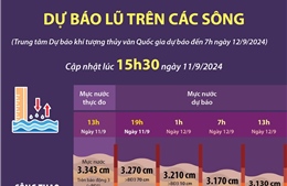 Dự báo lũ trên các sông (cập nhật 15h30 ngày 11/9/2024)