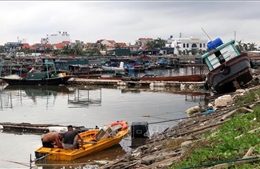 Quảng Ninh, Hải Phòng có gần 12.000 khách hàng vay vốn bị ảnh hưởng nặng từ bão số 3