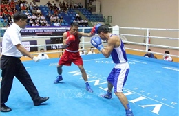 Khai mạc Giải vô địch Boxing toàn quốc năm 2024