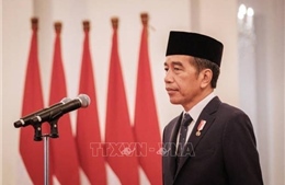 Tổng thống Indonesia Joko Widodo chủ trì cuộc họp Nội các cuối cùng