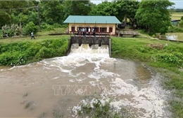 Đề nghị 21 tỉnh, thành đảm bảo an toàn chống lũ của đê khi vận hành trạm bơm tiêu