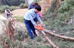 Hà Tĩnh: Kiểm tra, rà soát các vị trí có nguy cơ cao về lũ quét, sạt lở đất, ngập lụt sâu