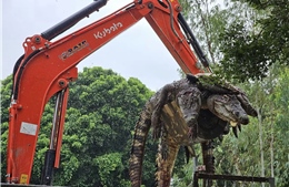 Một trang trại Thái Lan tiêu hủy 125 con cá sấu do lo ngại nước lũ dâng cao