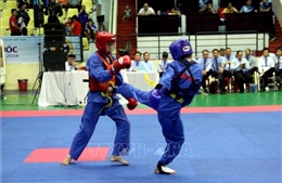 Quảng Nam: Trên 400 vận động viên tranh tài Giải Vô địch Vovinam toàn quốc năm 2024