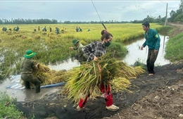 Thiên tai gây nhiều thiệt hại tại Kiên Giang