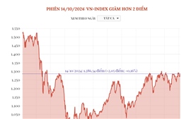 Phiên 14/10/2024: VN-Index giảm hơn 2 điểm