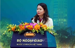 Việt Nam sẽ tham gia tích cực và đóng góp trách nhiệm tại Hội nghị BRICS mở rộng