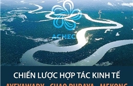 Chiến lược hợp tác kinh tế Ayeyawady - Chao Phraya - Mekong 