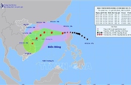 Bão số 7 di chuyển hướng Tây Tây Nam, giật cấp 17