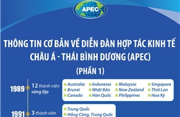 Thông tin cơ bản về Diễn đàn Hợp tác kinh tế châu Á - Thái Bình Dương
