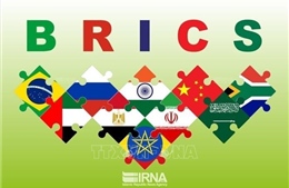 Brazil chính thức đảm nhận chức Chủ tịch BRICS