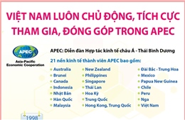 Việt Nam luôn chủ động, tích cực tham gia, đóng góp trong APEC