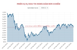 Phiên 15/11/2024: VN-Index giảm hơn 13 điểm