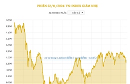 Phiên 22/11/2024: VN-Index giảm nhẹ