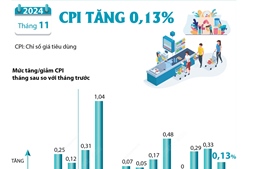 CPI tháng 11/2024 tăng 0,13%