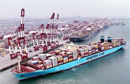 Maersk: Hoạt động vận chuyển container toàn cầu dự kiến tăng mạnh trong năm 2025