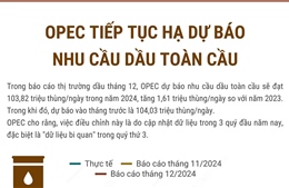 OPEC tiếp tục hạ dự báo nhu cầu dầu toàn cầu