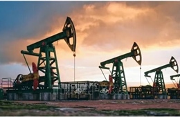OPEC tiếp tục hạ dự báo nhu cầu dầu thế giới