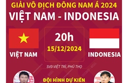 Giải vô địch Đông Nam Á: Thông tin trước trận đấu Việt Nam - Indonesia