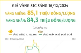 Giá vàng SJC sáng 16/12/2024