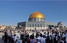 Bộ trưởng Israel đến thăm khu phức hợp đền thờ gây tranh cãi với Palestine