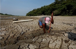 Thế giới 2024: Brazil ghi nhận năm nóng nhất trong hơn 6 thập kỷ