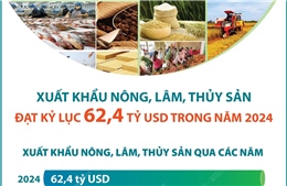 Xuất khẩu nông, lâm, thủy sản đạt kỷ lục 62,4 tỷ USD trong năm 2024