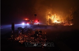 Mỹ: Số người thiệt mạng do cháy rừng ở Los Angeles tăng