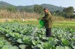 Ngăn nguy cơ hạn hán, đảm bảo nước cho vụ Đông Xuân