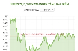 Phiên 20/1/2025: VN-Index tăng 0,44 điểm