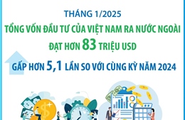 Tháng 1/2025: Đầu tư của Việt Nam ra nước ngoài gấp hơn 5,1 lần so với cùng kỳ năm 2024