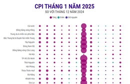 CPI tháng 1/2025 tăng 0,98%