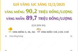 Giá vàng SJC sáng 12/2/2025 giảm mạnh, về khoảng 90 triệu đồng/lượng